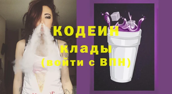 молекула духа Ростов
