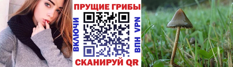 Галлюциногенные грибы ЛСД  блэк спрут как зайти  Власиха 